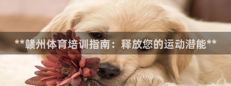 欧陆娱乐平台登陆地址在哪里：**赣州体育培训指南：释