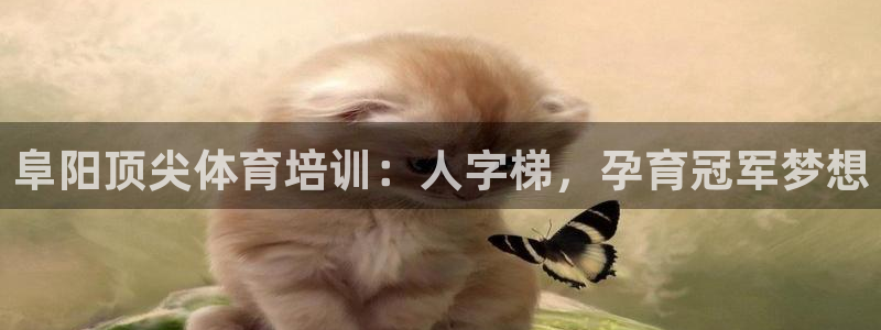 欧陆娱乐登录测速：阜阳顶尖体育培训：人字梯，孕育冠军