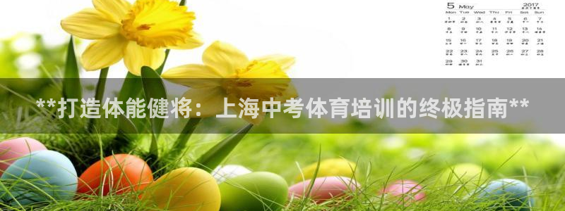 欧陆娱乐公司产品介绍大全：**打造体能健将：上海中考体育培训