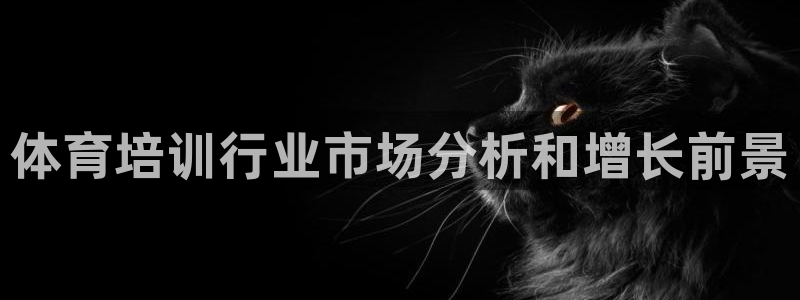 欧陆娱乐代理 贴吧：体育培训行业市场分析和增长前景