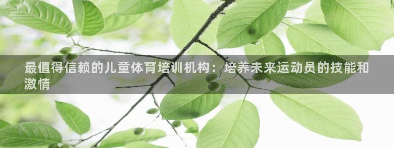 欧陆娱乐是干什么的：最值得信赖的儿童体育培训机构：培