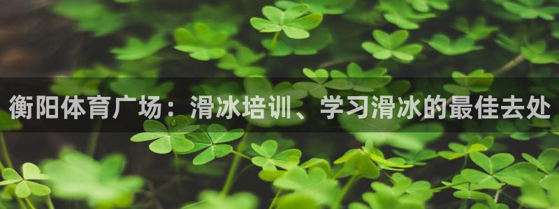 欧陆娱乐挂机项目怎么设置：衡阳体育广场：滑冰培训、学