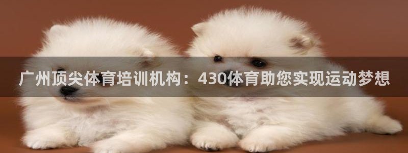 欧陆娱乐注册代理多少钱一年：广州顶尖体育培训机构：4