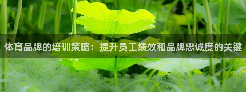 欧陆娱乐代理多少个点位啊：体育品牌的培训策略：提升员