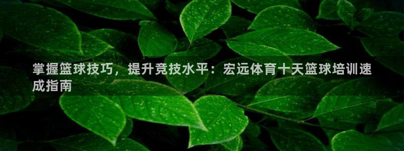 欧陆娱乐注册代理多少钱：掌握篮球技巧，提升竞技水平：