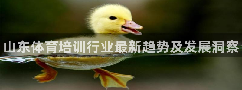 欧陆娱乐息7o777ts=0：山东体育培训行业最新趋