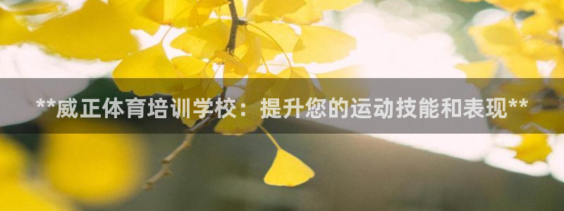 欧陆娱乐安全?：**威正体育培训学校：提升您的运动技