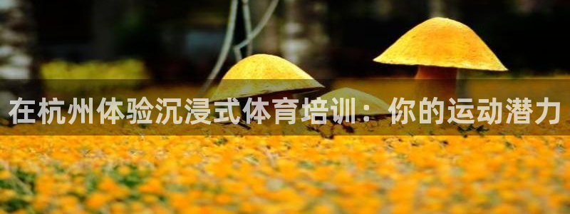 欧陆娱乐官网下载安装最新版本：在杭州体验沉浸式体育培
