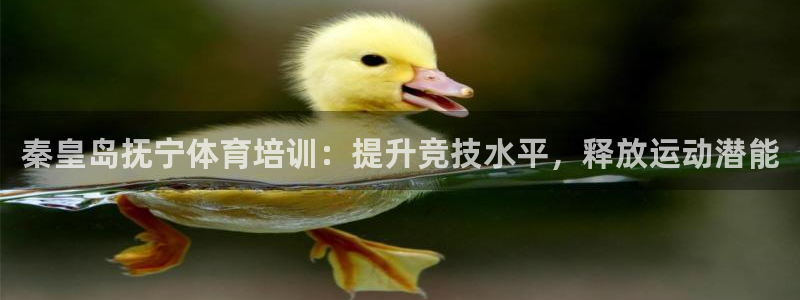 欧陆娱乐公司产品介绍：秦皇岛抚宁体育培训：提升竞技水