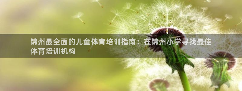 欧陆娱乐代理多少个点位：锦州最全面的儿童体育培训指南：在锦州