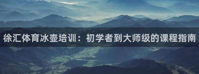 欧陆娱乐官方网站下载：徐汇体育冰壶培训：初学者到大师