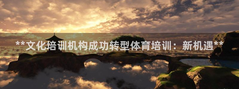 欧陆娱乐：**文化培训机构成功转型体育培训：新机遇*