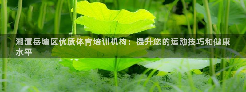 欧陆娱乐官网网址是多少：湘潭岳塘区优质体育培训机构：