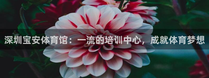 欧陆娱乐app攻略：深圳宝安体育馆：一流的培训中心，成就体育