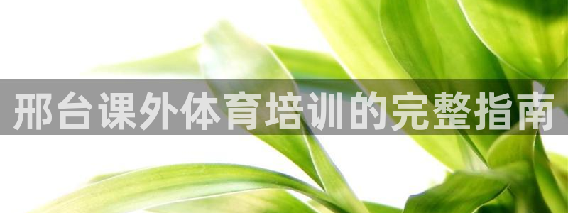 欧陆娱乐客服服务电话：邢台课外体育培训的完整指南