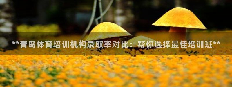欧陆娱乐是那个旗下的品牌公司：**青岛体育培训机构录
