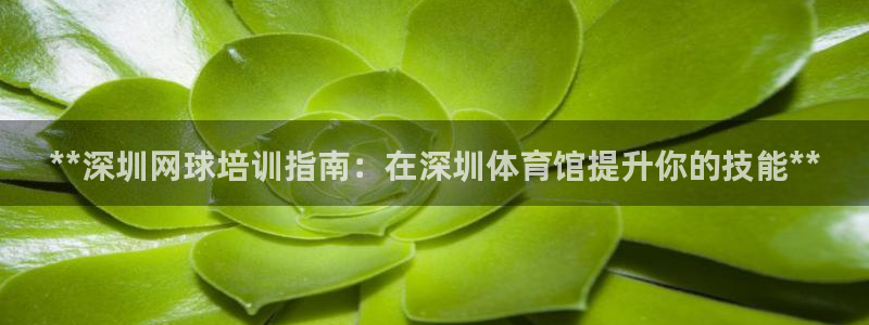 欧陆软件官网：**深圳网球培训指南：在深圳体育馆提升你的技能