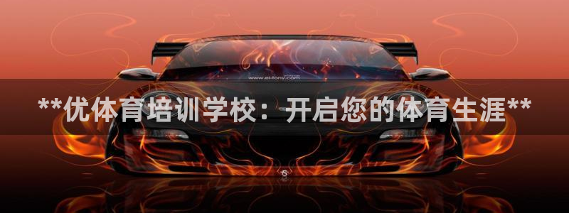 欧陆娱乐登陆官网网址：**优体育培训学校：开启您的体育生涯*
