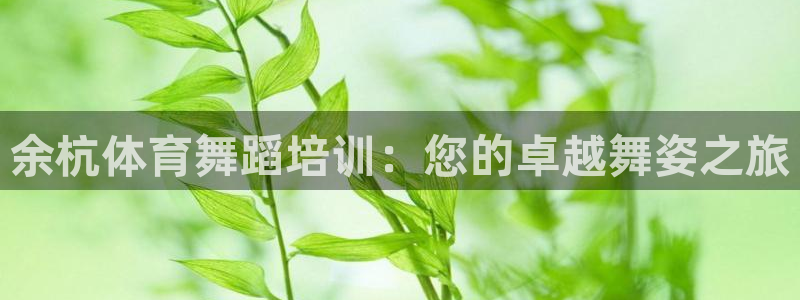 欧陆娱乐客服服务怎么样：余杭体育舞蹈培训：您的卓越舞姿之旅
