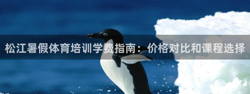欧陆娱乐的故事有哪些：松江暑假体育培训学费指南：价格