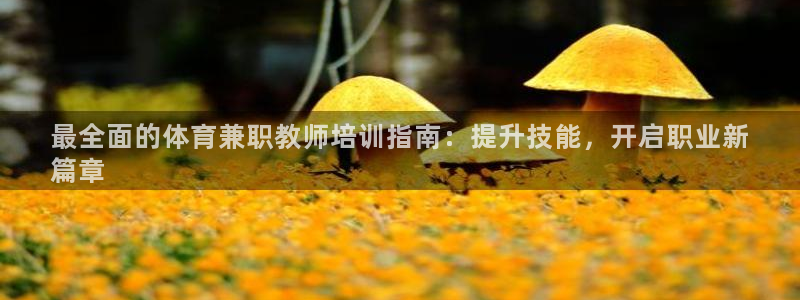 欧陆娱乐能赚钱吗知乎：最全面的体育兼职教师培训指南：提升技能