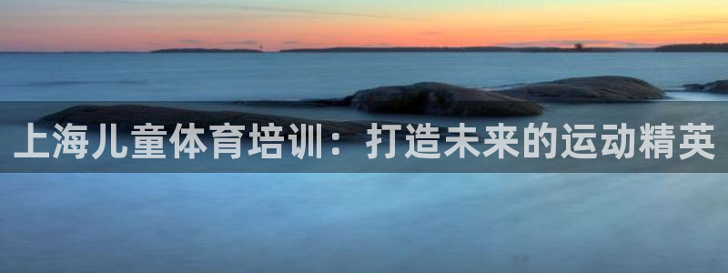 欧陆娱乐登录平台有哪些：上海儿童体育培训：打造未来的运动精英