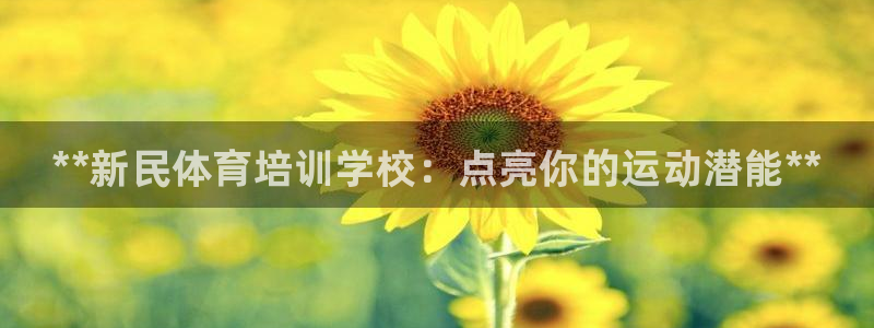 欧陆娱乐注册链接怎么弄出来：**新民体育培训学校：点亮你的运