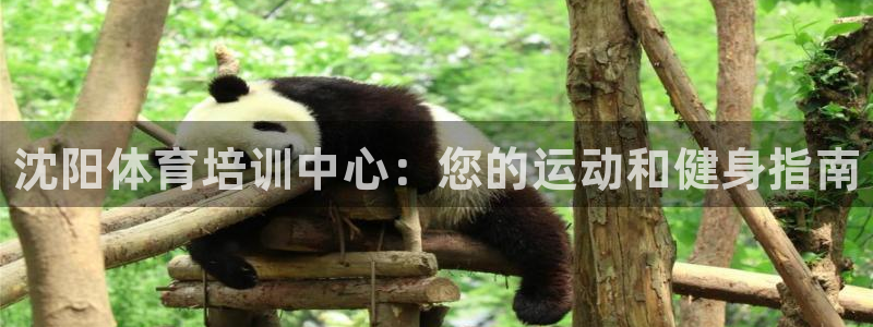 欧陆娱乐平台总代理：沈阳体育培训中心：您的运动和健身