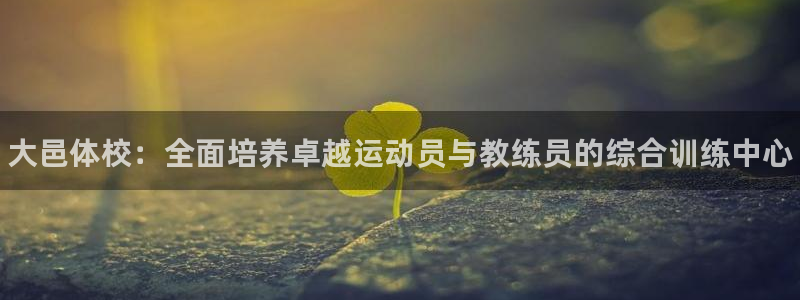 欧陆娱乐挂机怎么玩