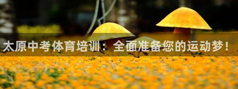 欧陆娱乐公司产品介绍怎么写：太原中考体育培训：全面准备您的运