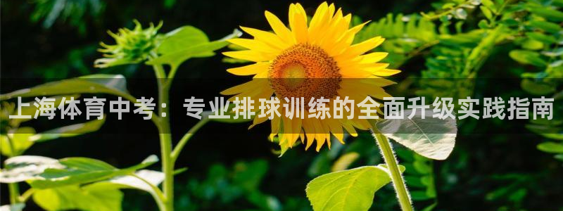 欧陆娱乐登录官网网址：上海体育中考：专业排球训练的全
