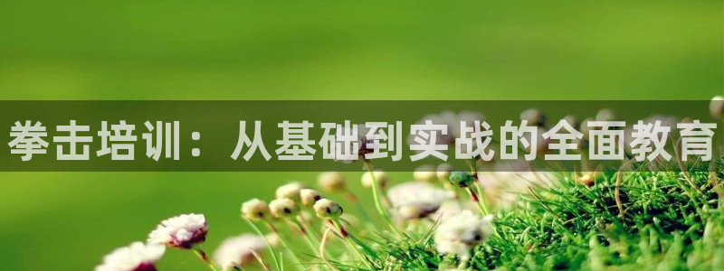 欧陆娱乐登录平台有哪些：拳击培训：从基础到实战的全面教育