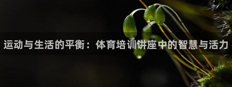 欧陆平台：运动与生活的平衡：体育培训讲座中的智慧与活力