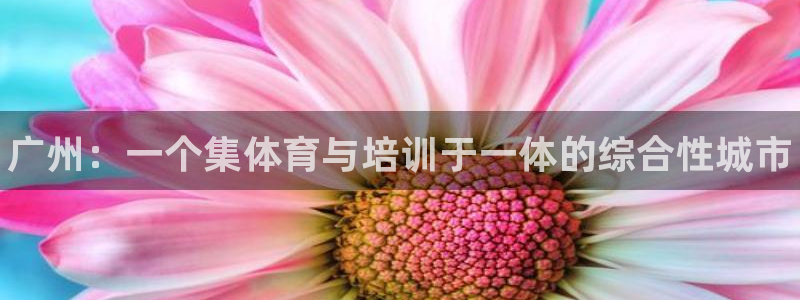 欧陆娱乐公司产品介绍图片