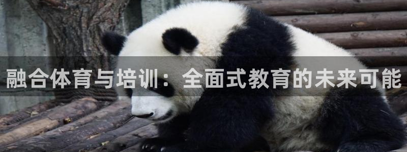 欧陆娱乐共创美好：融合体育与培训：全面式教育的未来可能
