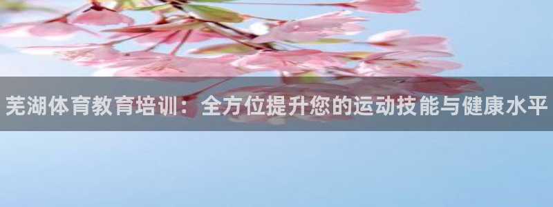 欧陆娱乐客服服务：芜湖体育教育培训：全方位提升您的运